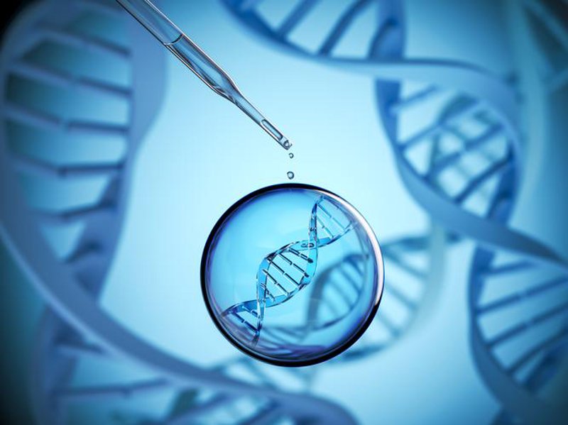 从行业视角看生物技术企业创新之路：以拓臻为例